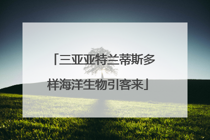 三亚亚特兰蒂斯多样海洋生物引客来