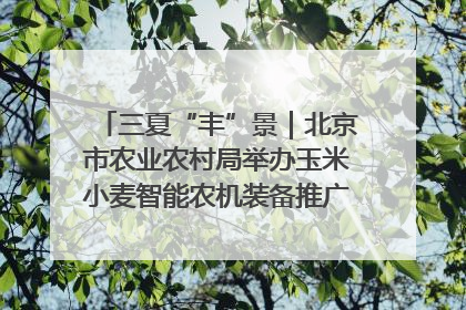 三夏“丰”景｜北京市农业农村局举办玉米小麦智能农机装备推广“田间日”活动