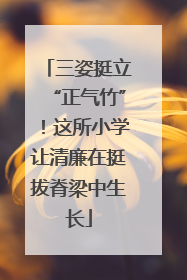 三姿挺立“正气竹”！这所小学让清廉在挺拔脊梁中生长