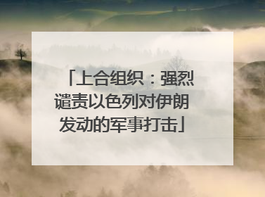 上合组织：强烈谴责以色列对伊朗发动的军事打击