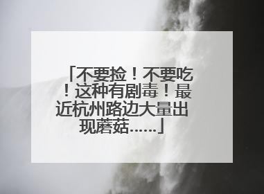 不要捡！不要吃！这种有剧毒！最近杭州路边大量出现蘑菇……