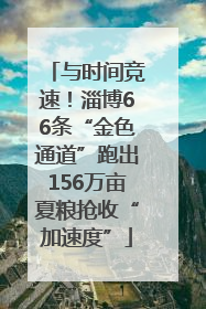 与时间竞速！淄博66条“金色通道”跑出156万亩夏粮抢收“加速度”