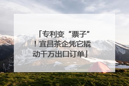 专利变“票子”！宜昌茶企凭它撬动千万出口订单