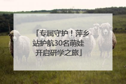 专属守护！萍乡站护航30名萌娃开启研学之旅