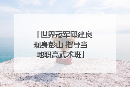 世界冠军邱建良现身彭山 指导当地职高武术班