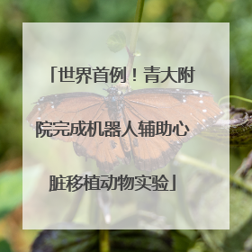 世界首例！青大附院完成机器人辅助心脏移植动物实验