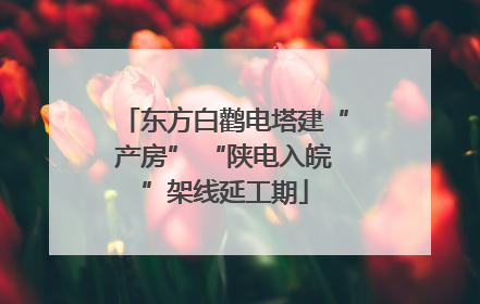 东方白鹳电塔建“产房” “陕电入皖”架线延工期