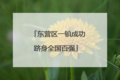 东营区一镇成功跻身全国百强