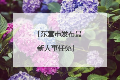 东营市发布最新人事任免