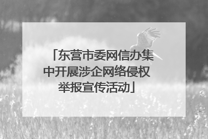 东营市委网信办集中开展涉企网络侵权举报宣传活动