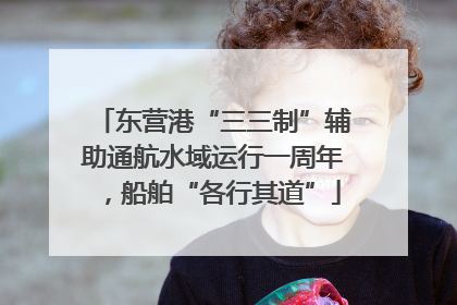 东营港“三三制”辅助通航水域运行一周年，船舶“各行其道”