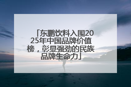 东鹏饮料入围2025年中国品牌价值榜，彰显强劲的民族品牌生命力