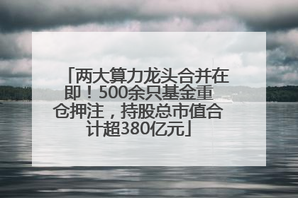两大算力龙头合并在即！500余只基金重仓押注，持股总市值合计超380亿元