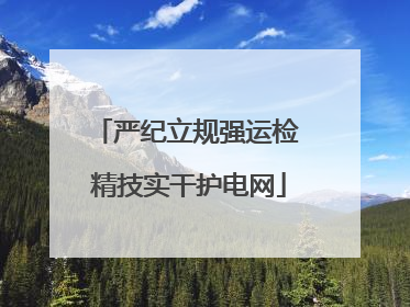 严纪立规强运检 精技实干护电网