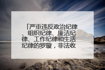 严重违反政治纪律、组织纪律、廉洁纪律、工作纪律和生活纪律的罗璇，非法收受他人巨额财物