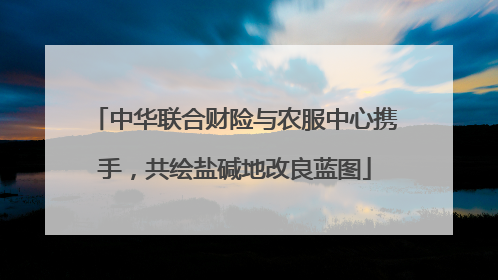 中华联合财险与农服中心携手，共绘盐碱地改良蓝图