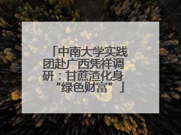 中南大学实践团赴广西凭祥调研：甘蔗渣化身“绿色财富”