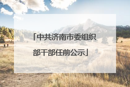 中共济南市委组织部干部任前公示