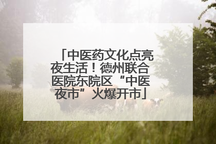 中医药文化点亮夜生活！德州联合医院东院区“中医夜市”火爆开市