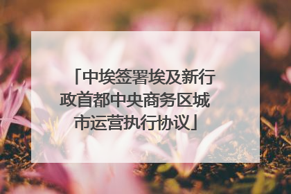 中埃签署埃及新行政首都中央商务区城市运营执行协议
