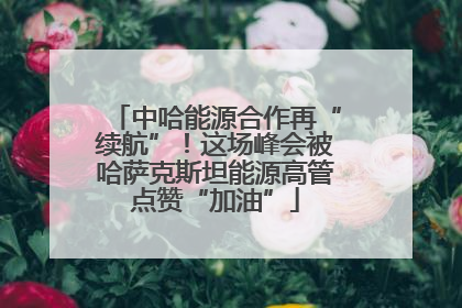 中哈能源合作再“续航”！这场峰会被哈萨克斯坦能源高管点赞“加油”