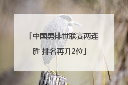 中国男排世联赛两连胜 排名再升2位
