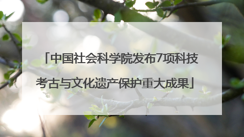 中国社会科学院发布7项科技考古与文化遗产保护重大成果