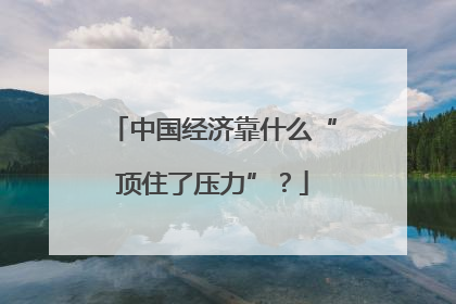 中国经济靠什么“顶住了压力”？