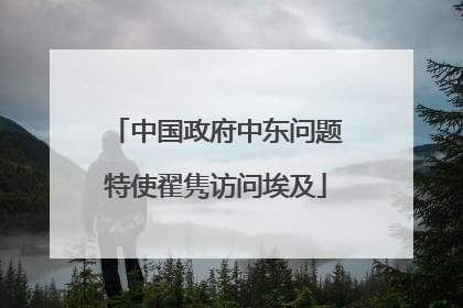 中国政府中东问题特使翟隽访问埃及