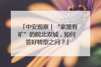 中安观察｜“家里有矿”的皖北双城，如何答好转型之问？