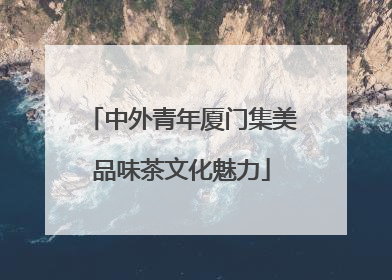 中外青年厦门集美品味茶文化魅力