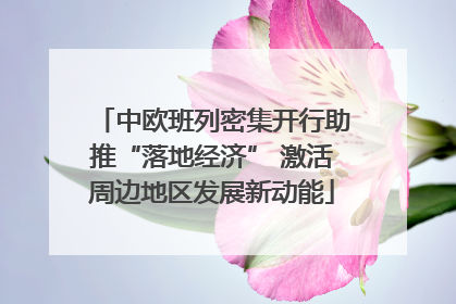 中欧班列密集开行助推“落地经济” 激活周边地区发展新动能