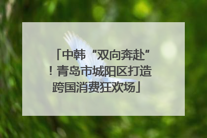 中韩“双向奔赴”！青岛市城阳区打造跨国消费狂欢场
