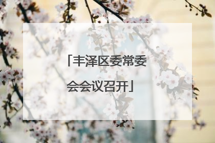 丰泽区委常委会会议召开