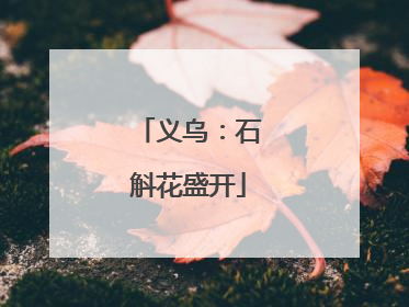 义乌：石斛花盛开