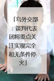 乌外交部：谈判代表团将重点关注实现完全和无条件停火