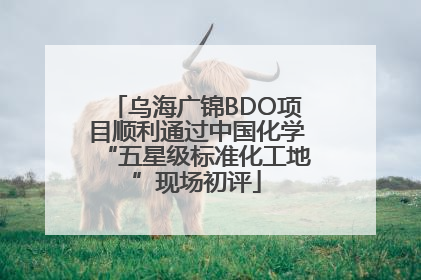 乌海广锦BDO项目顺利通过中国化学“五星级标准化工地”现场初评