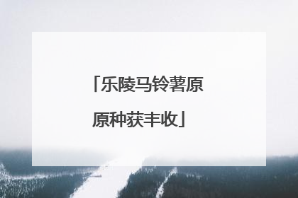 乐陵马铃薯原原种获丰收