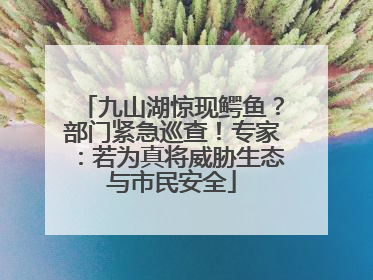 九山湖惊现鳄鱼？部门紧急巡查！专家：若为真将威胁生态与市民安全