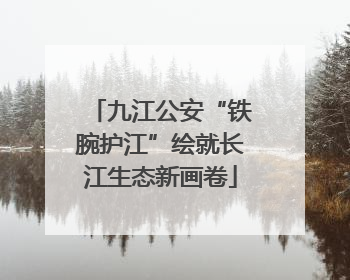 九江公安“铁腕护江”绘就长江生态新画卷