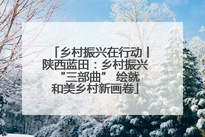 乡村振兴在行动丨陕西蓝田：乡村振兴 “三部曲” 绘就和美乡村新画卷