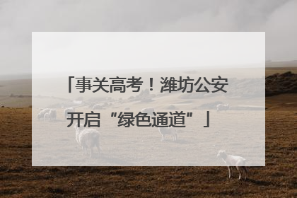事关高考！潍坊公安开启“绿色通道”