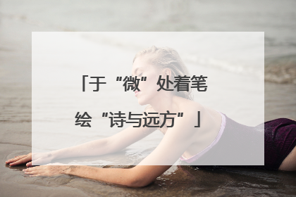 于“微”处着笔 绘“诗与远方”