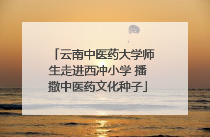 云南中医药大学师生走进西冲小学 播撒中医药文化种子