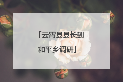 云霄县县长到和平乡调研