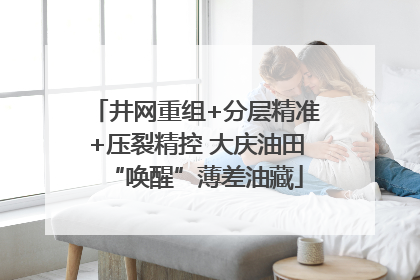 井网重组+分层精准+压裂精控 大庆油田“唤醒”薄差油藏