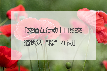 交通在行动丨日照交通执法“粽”在岗