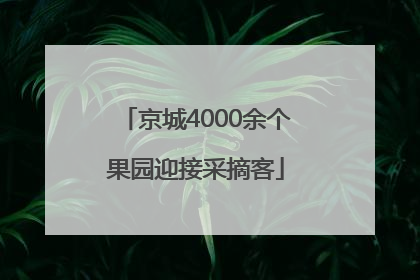 京城4000余个果园迎接采摘客