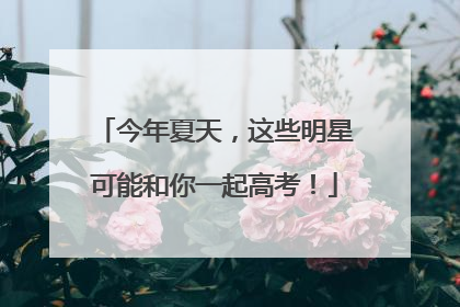 今年夏天，这些明星可能和你一起高考！