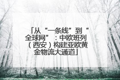 从“一条线”到“全球网”：中欧班列（西安）构建亚欧黄金物流大通道
